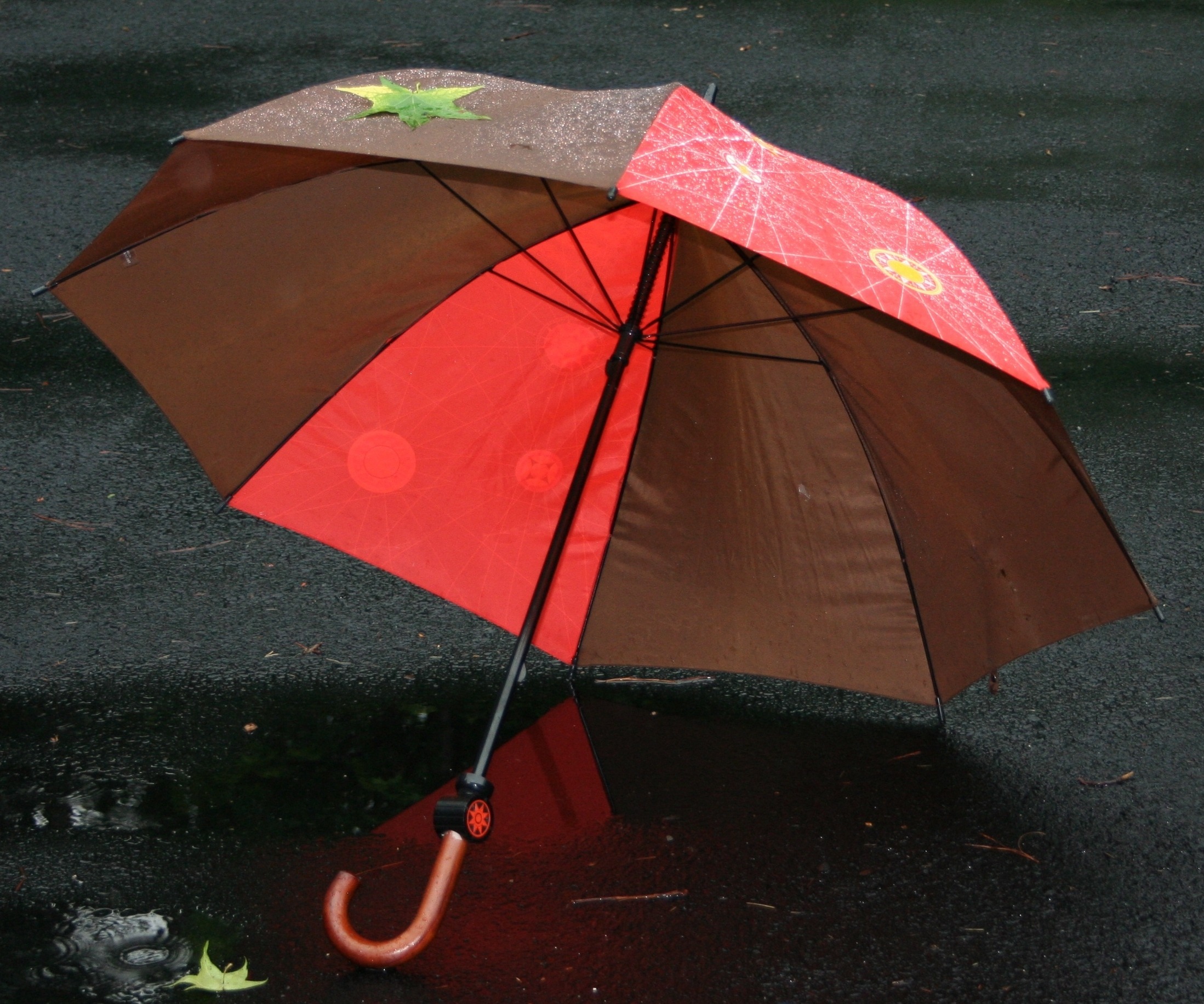 Зонтик на асфальте